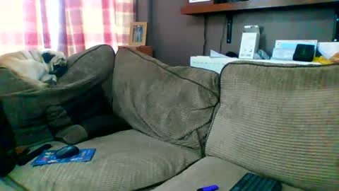 Matt online show from 26, 7, 2026