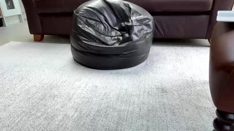 Snapshot of jeeves200 chatting on 25, 2, 2025 Sensual Jeeves online show from 25, 2, 2025