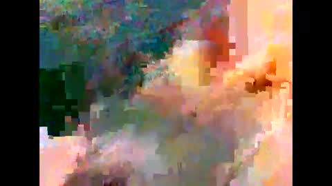 jejemotard online show from 19, 11, 2025