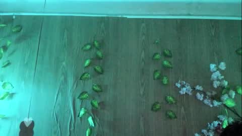 Jenelotizz online show from 27, 9, 2025