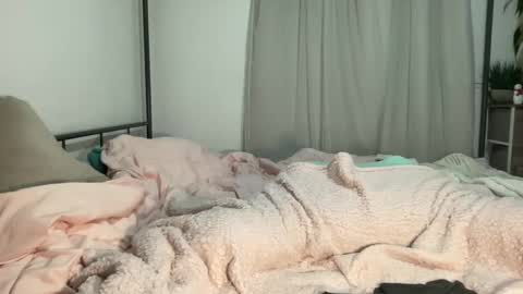 Mistress Jenni online show from 11, 12, 2024