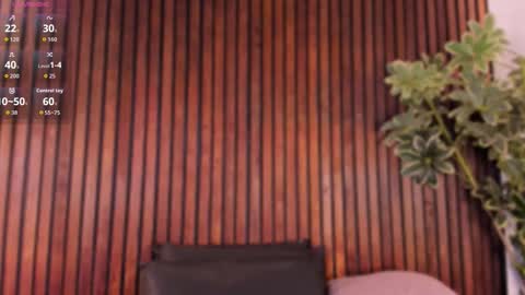     online show from 4, 11, 2025