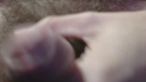 jerkingtyce online show from 3, 5, 2026