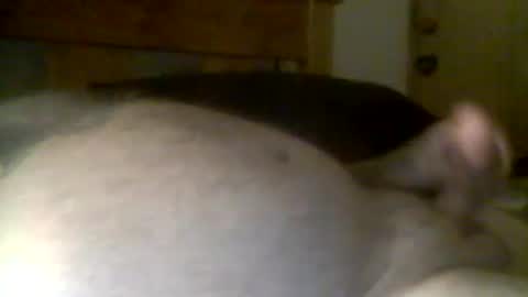 jerkmate6666 online show from 21, 4, 2026