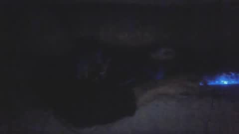 jetjon762844 online show from 9, 2, 2026