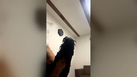 jhannpi online show from 8, 4, 2026