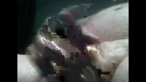 jimboluv488 online show from 18, 12, 2024