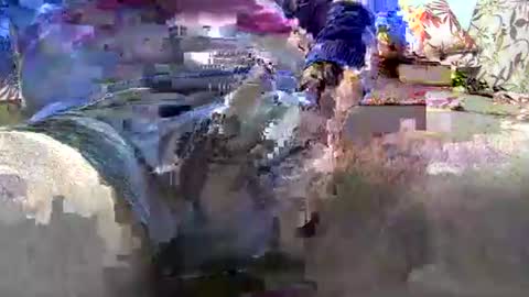 Snapshot of jimii281 chatting on 12, 1, 2026 jimii281 online show from 12, 1, 2026