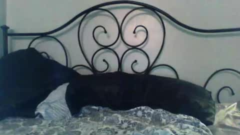 Snapshot of jimz169 chatting on 3, 5, 2026 Jimz14u online show from 3, 5, 2026