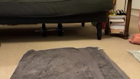 jinker2002 online show from 16, 12, 2024