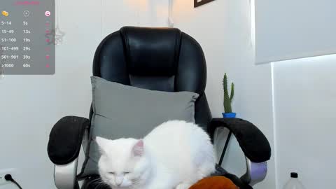 Snapshot of jmortton chatting on 1, 12, 2025 IGJmortton online show from 1, 12, 2025