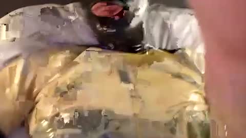 The sweetest toy online show from 11, 12, 2024