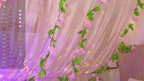 Joe online show from 21, 12, 2025