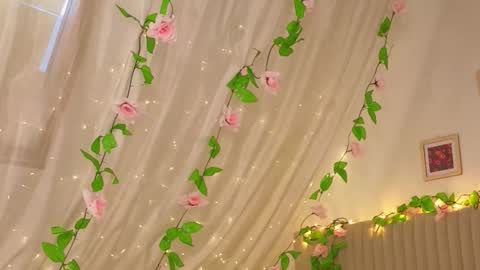 Joe online show from 17, 1, 2026