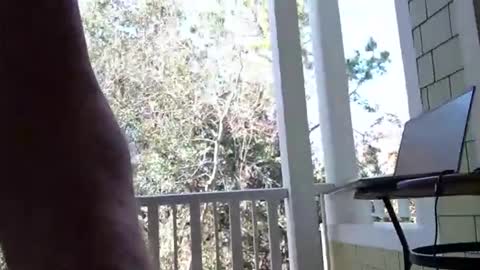 joesmithward online show from 8, 2, 2026