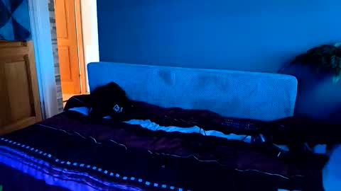 - Quantum - online show from 20, 11, 2025