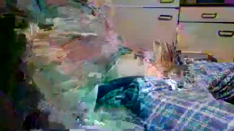 johnyboy34 online show from 17, 1, 2026