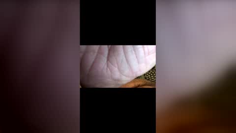 john091254 online show from 26, 4, 2026