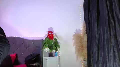 John  online show from 19, 3, 2026