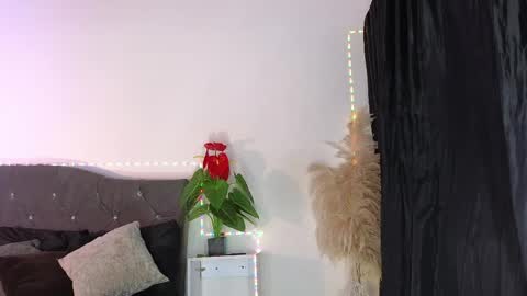 John  online show from 11, 4, 2026