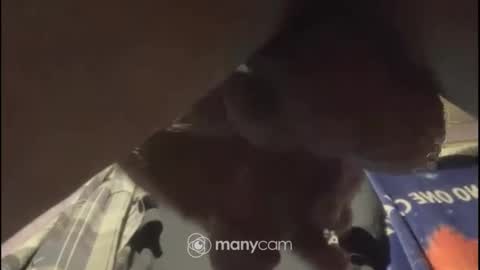 johnnyshung1 online show from 2, 2, 2025