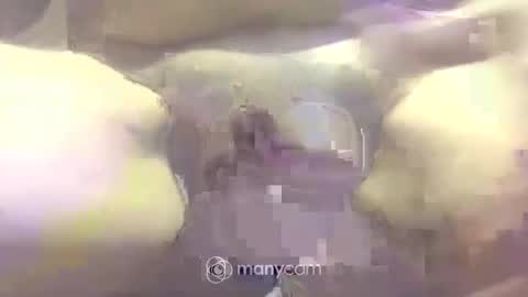 johnnyshung1 online show from 2, 3, 2025