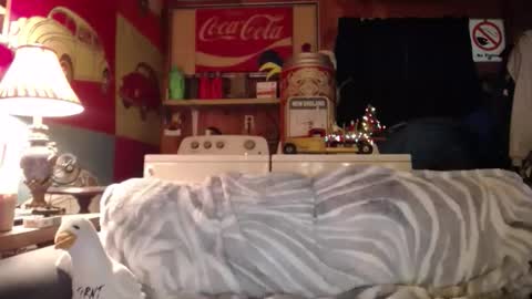 Snapshot of johstondude chatting on 19, 5, 2026 Johston online show from 19, 5, 2026