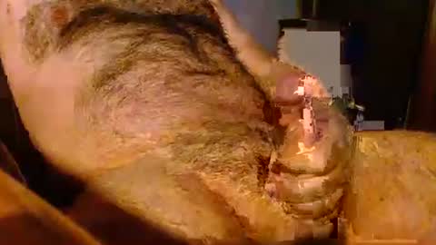 jolieeeeh online show from 28, 11, 2025