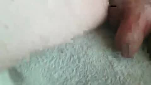 jonasbkk online show from 16, 1, 2026