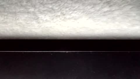 John loves pussy online show from 31, 3, 2026