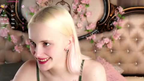 Alice online show from 8, 4, 2026