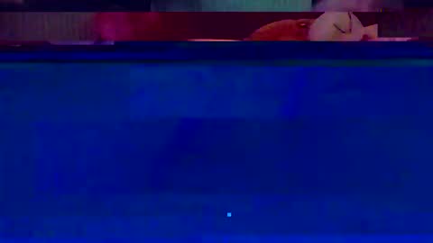 jooshi1981 online show from 12, 2, 2026