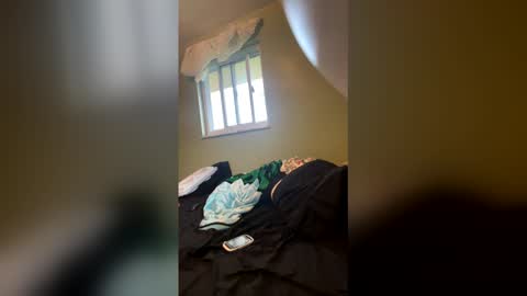 jordannelson1017 online show from 4, 4, 2026