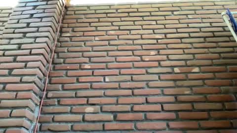 JorgeMAXX online show from 9, 2, 2025