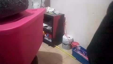 jose_longoria266 online show from 19, 1, 2026