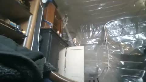 sissy josphine online show from 28, 11, 2025