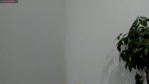 Snapshot of joyaoscura55 chatting on 26, 7, 2026 sofiaparker8 online show from 26, 7, 2026