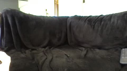 juanmamestre94 online show from 7, 4, 2026