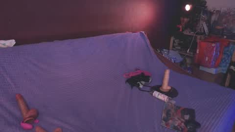 Arina online show from 26, 1, 2025