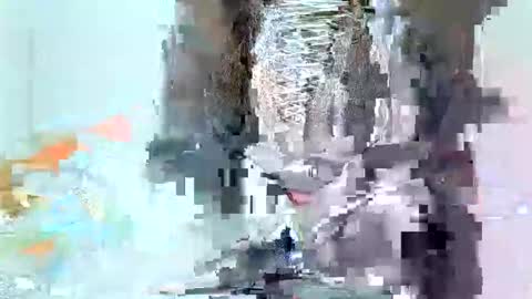 Snapshot of juicyebonitaa chatting on 4, 11, 2025 juicyebonitaa online show from 4, 11, 2025