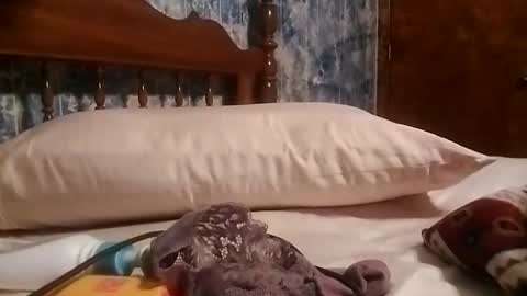 Snapshot of juicyj322 chatting on 19, 1, 2025 juicyj322 online show from 19, 1, 2025