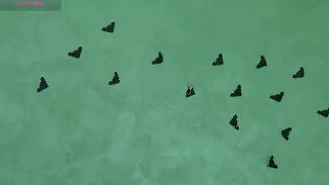 Julia online show from 5, 11, 2025