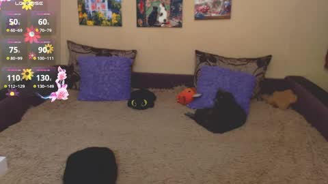 Jul online show from 26, 3, 2026