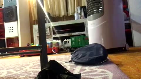 julieface87 online show from 26, 3, 2026