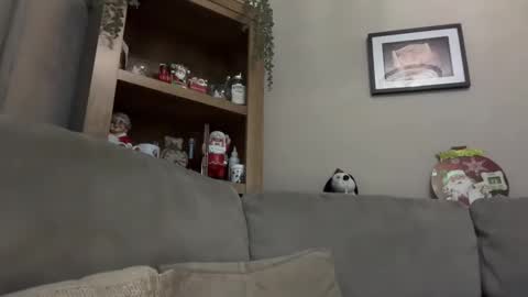 Junky online show from 13, 12, 2024