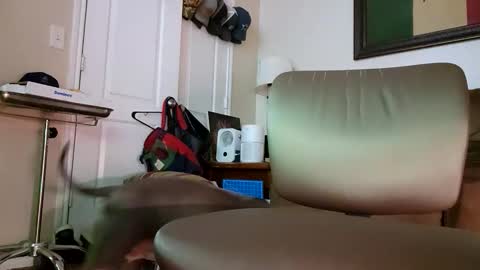 Snapshot of just4fun1523 chatting on 9, 1, 2026 just4fun1523 online show from 9, 1, 2026