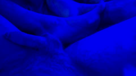 Yuri online show from 14, 1, 2025