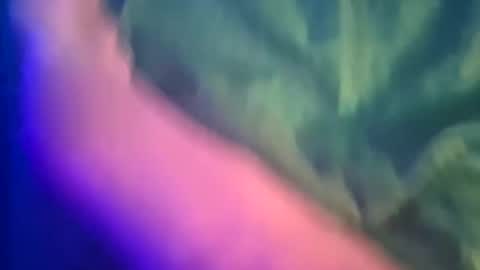 Yuri online show from 8, 3, 2025