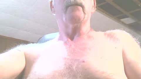 Snapshot of justdon chatting on 15, 6, 2026 justdon online show from 15, 6, 2026