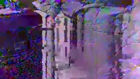 Techno Nymph online show from 25, 2, 2026